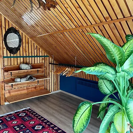 Holiday home Forrest *