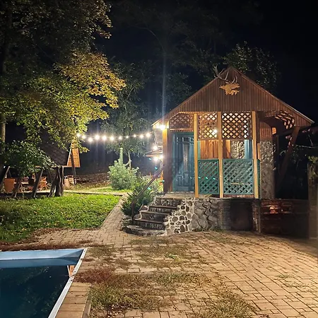 Holiday home Forrest Chynadiyovo
